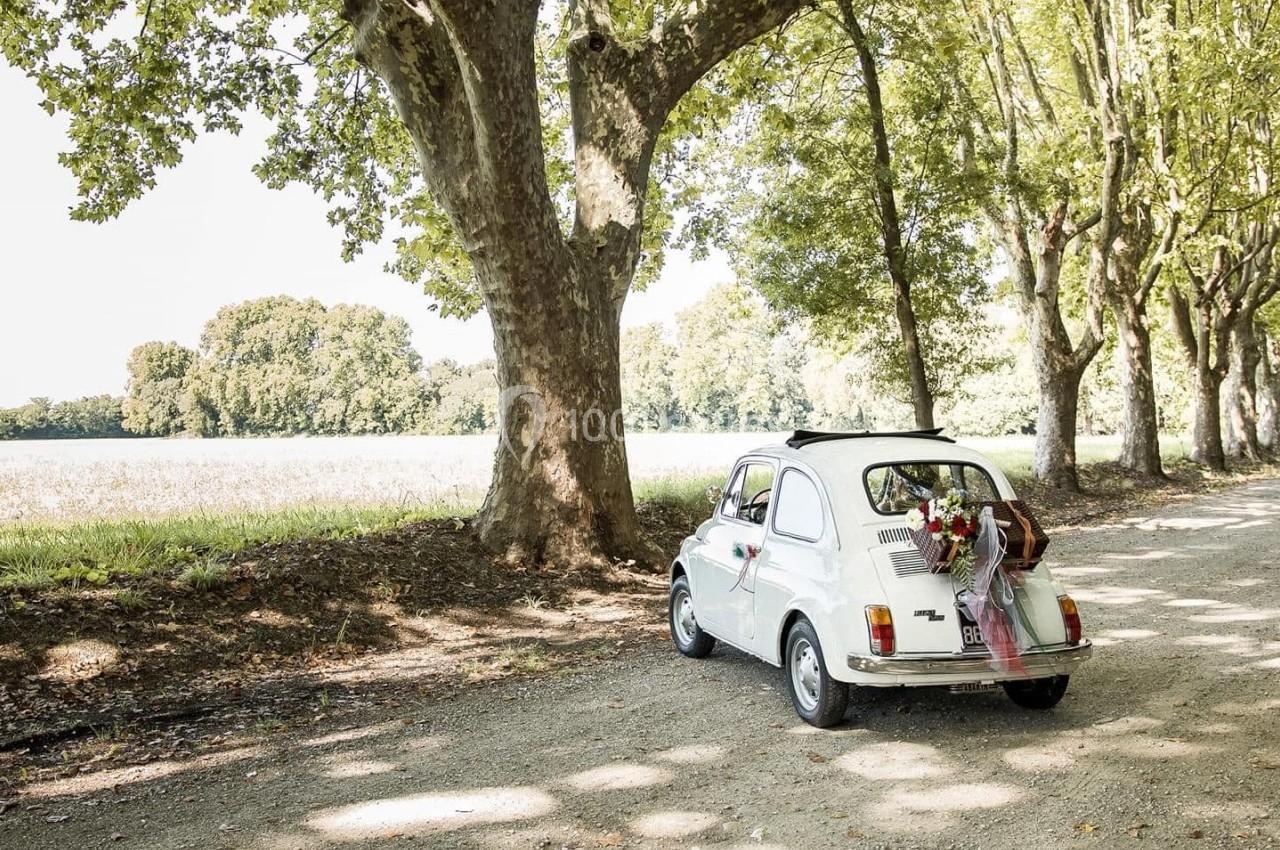 Une petite voiture blanche décorée de fleurs est garée sur un chemin bordé d'arbres, près d'un champ.