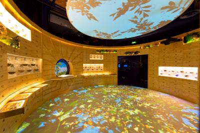 Location salle Marseille (Bouches-du-Rhône) - Mx Marseille #20