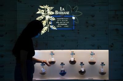 Location salle Marseille (Bouches-du-Rhône) - Mx Marseille #20