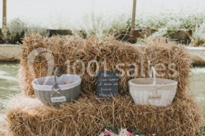 Décoration de salle avec échelle en bois ornée de lettres ’LOVE’, pampas et vases, éclairage violet en arrière-plan.