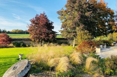 Décoration de salle avec échelle en bois ornée de lettres ’LOVE’, pampas et vases, éclairage violet en arrière-plan.