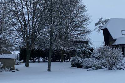 Décoration de salle avec échelle en bois ornée de lettres ’LOVE’, pampas et vases, éclairage violet en arrière-plan.