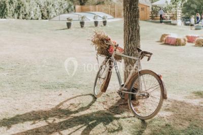 Décoration de salle avec échelle en bois ornée de lettres ’LOVE’, pampas et vases, éclairage violet en arrière-plan.