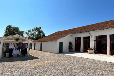 Grande salle vide avec un sol en pierre, plafond en bois avec poutres apparentes et lustres suspendus, décorée de plantes.