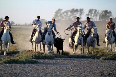 Grande salle vide avec un sol en pierre, plafond en bois avec poutres apparentes et lustres suspendus, décorée de plantes.