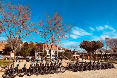 Grande salle vide avec un sol en pierre, plafond en bois avec poutres apparentes et lustres suspendus, décorée de plantes.