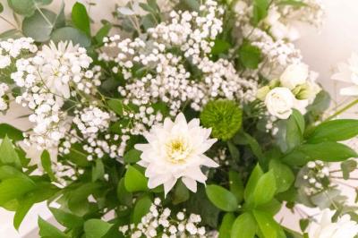 Location salle Saint-Jean-du-Gard (Gard) - Domaine de Ravel #37