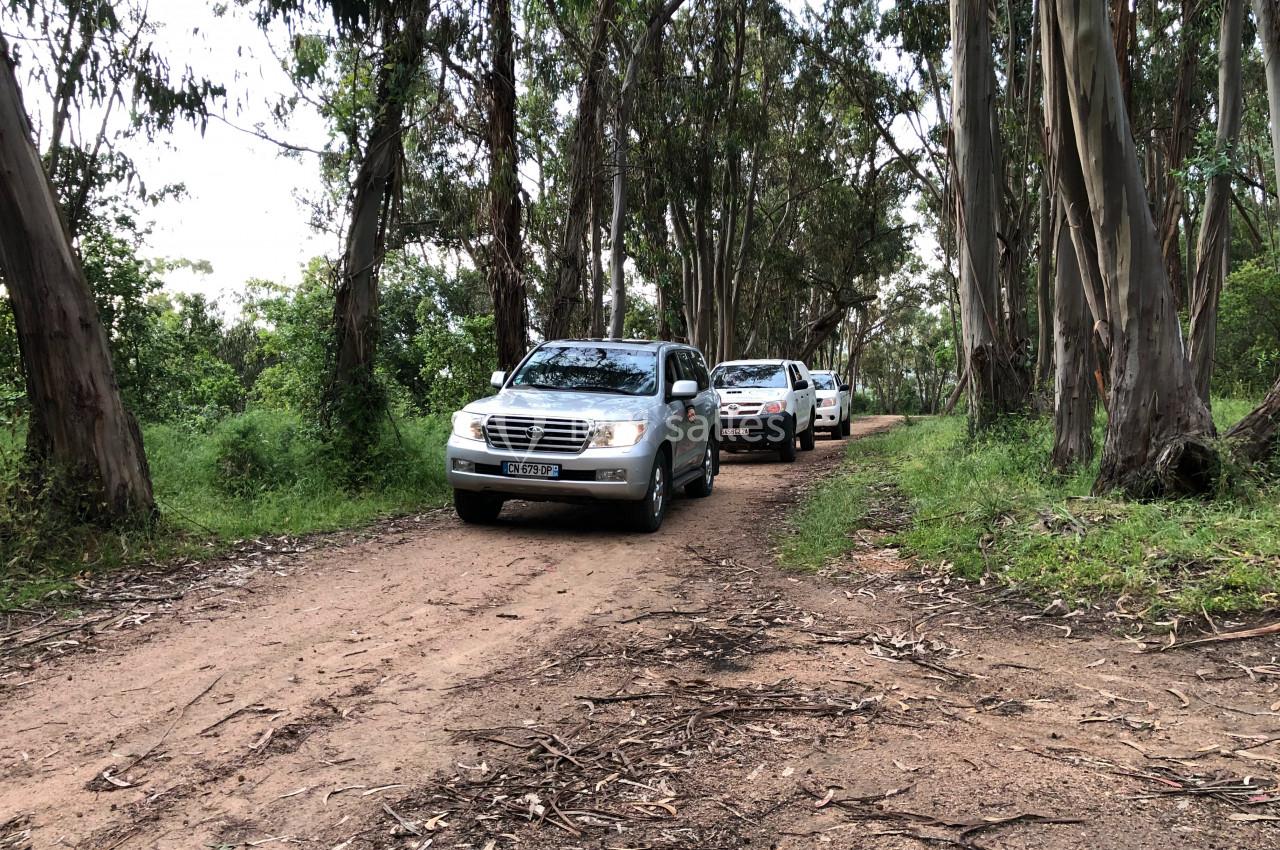 Trois véhicules tout-terrain circulent sur un chemin de terre entouré d'arbres dans une forêt clairsemée.