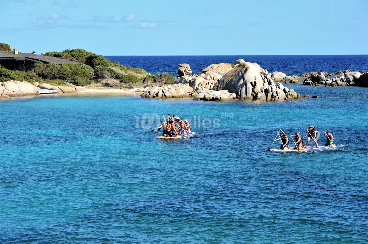 Des groupes de personnes pagaient sur des planches dans une eau turquoise près de rochers et d'une côte verdoyante.