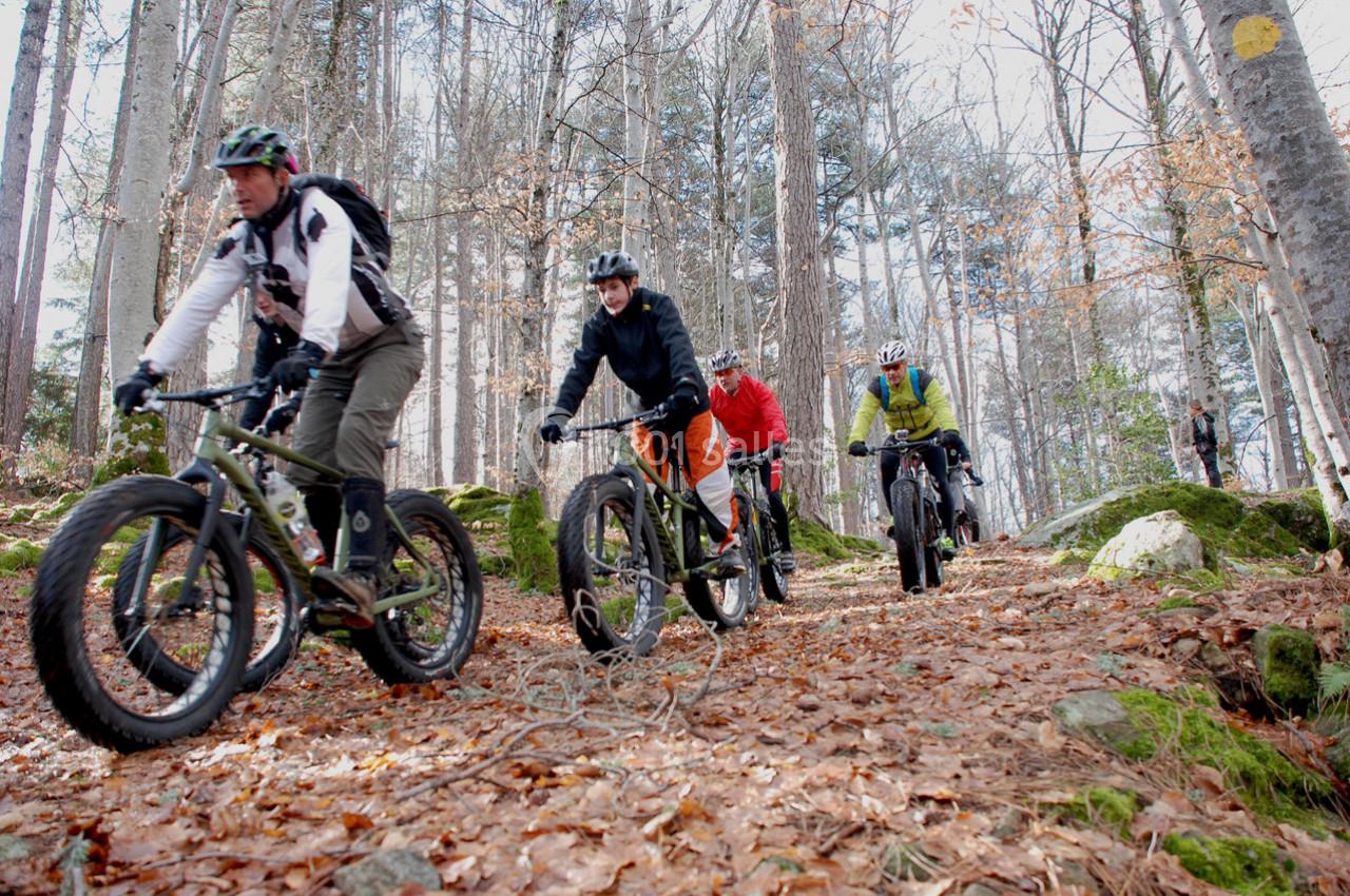 Groupe de cyclistes traversant une forêt sur des vélos tout-terrain, entourés de feuilles mortes et d'arbres.