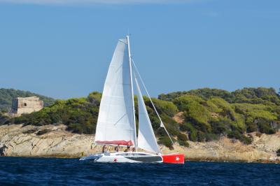 Tente transparente installée sur une plage, aménagée avec des chaises blanches et des plantes décoratives.