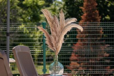 Location salle Saint-Nauphary (Tarn-et-Garonne) - Ô Domaine du Roussillon #20