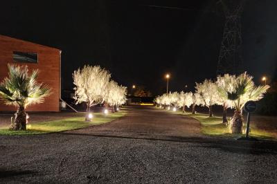 Espace intérieur en bois avec canapés, fauteuils, guirlande lumineuse et stand décoratif éclairé.