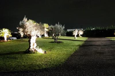 Structure gonflable sur le thème de Spider-Man installée en extérieur, à côté d'une autre structure colorée.