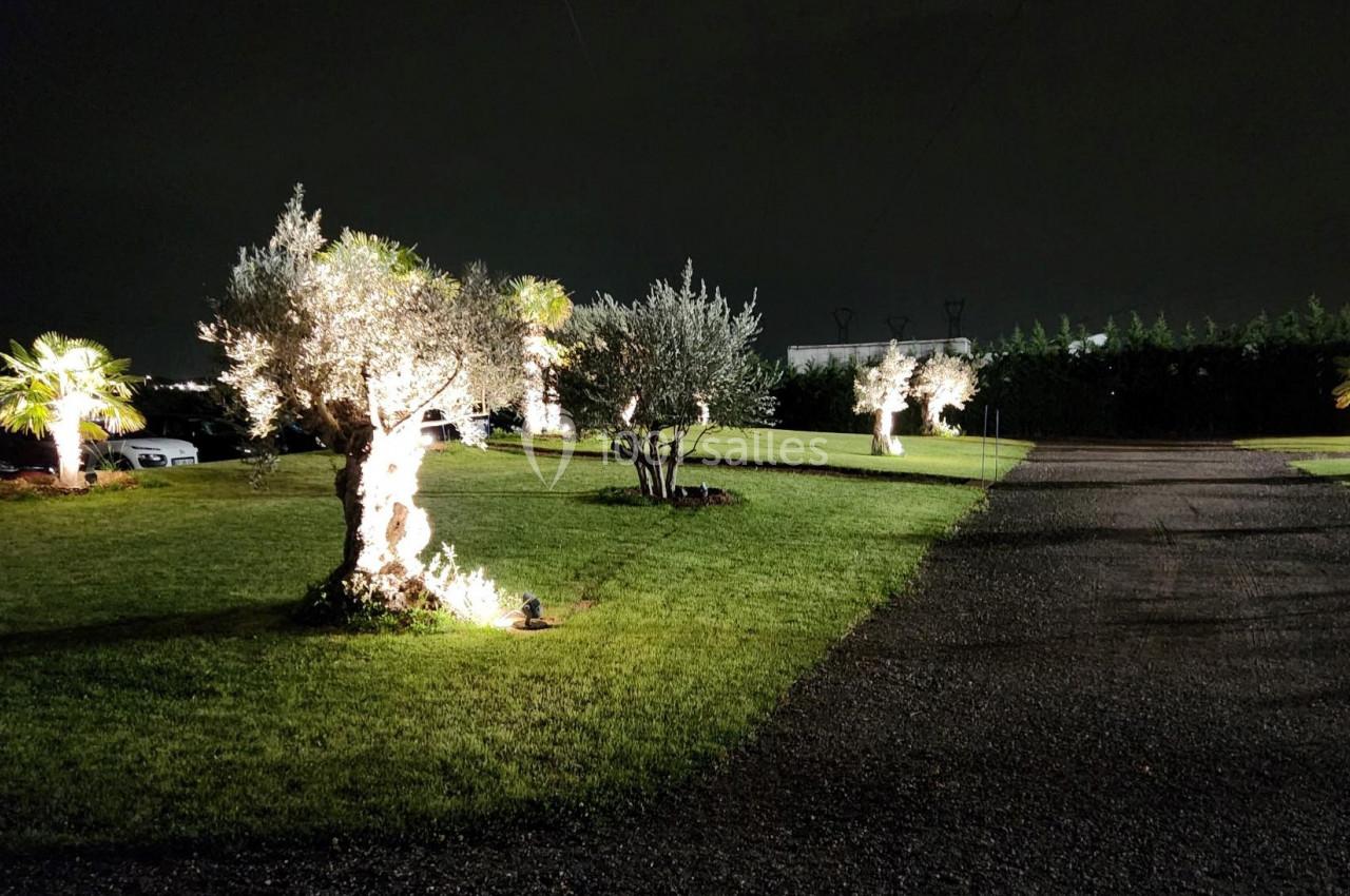 Allée de gravier bordée d'arbres illuminés sur une pelouse, de nuit, avec un bâtiment visible à droite.