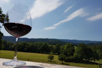 Location salle Marsac-en-Livradois (Puy-de-Dôme) - Château de Riols #27