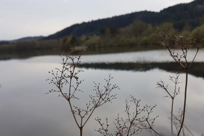 Location salle Marsac-en-Livradois (Puy-de-Dôme) - Château de Riols #27