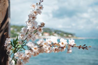 Location salle Antibes (Alpes-Maritimes) - La Petite Garoupe #21