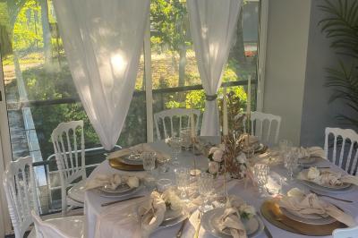 Un parc verdoyant avec des arbres feuillus et une allée ensoleillée menant à un bâtiment blanc au loin.