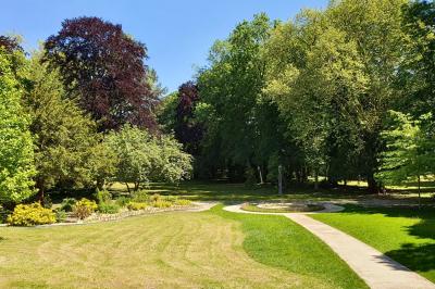Un parc verdoyant avec des arbres feuillus et une allée ensoleillée menant à un bâtiment blanc au loin.