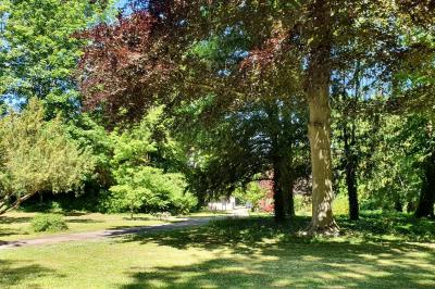 Un parc verdoyant avec des arbres feuillus et une allée ensoleillée menant à un bâtiment blanc au loin.