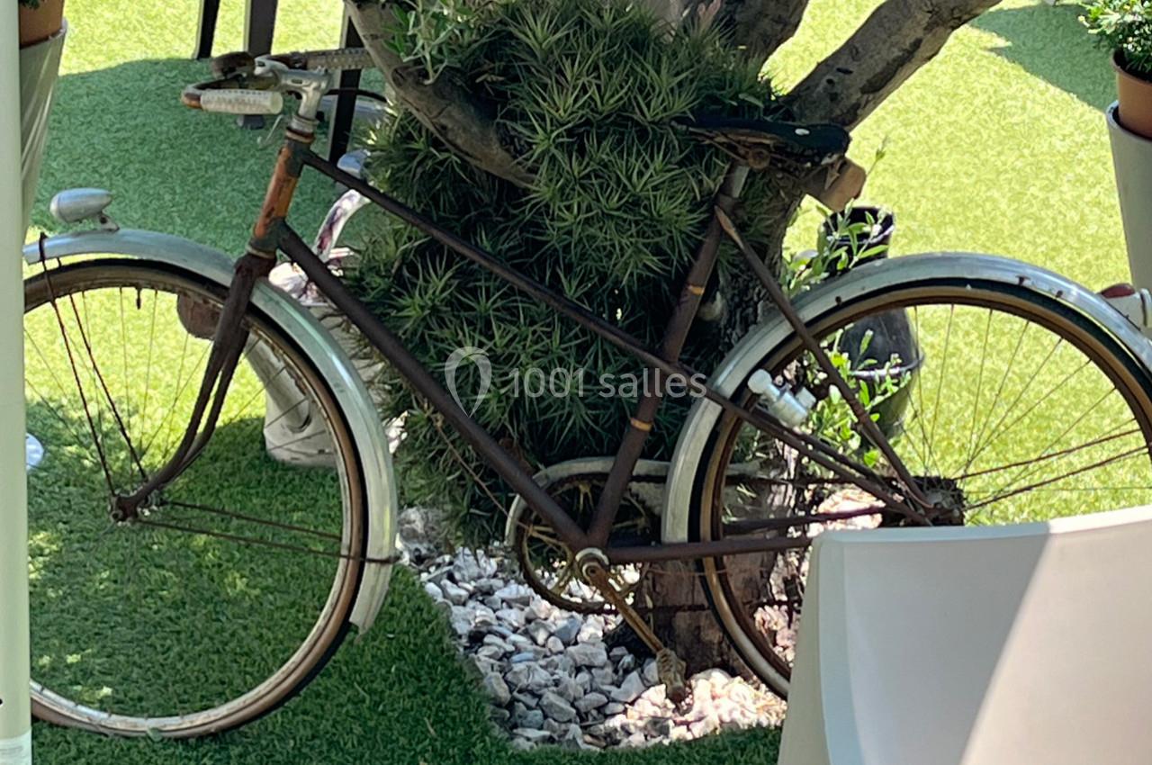 Vélo ancien rouillé appuyé contre un arbre, entouré de plantes et posé sur une pelouse artificielle.