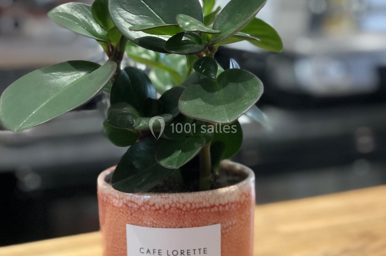 Plante verte dans un pot en céramique rose marqué ’Café Lorette’, posée sur un comptoir en bois.