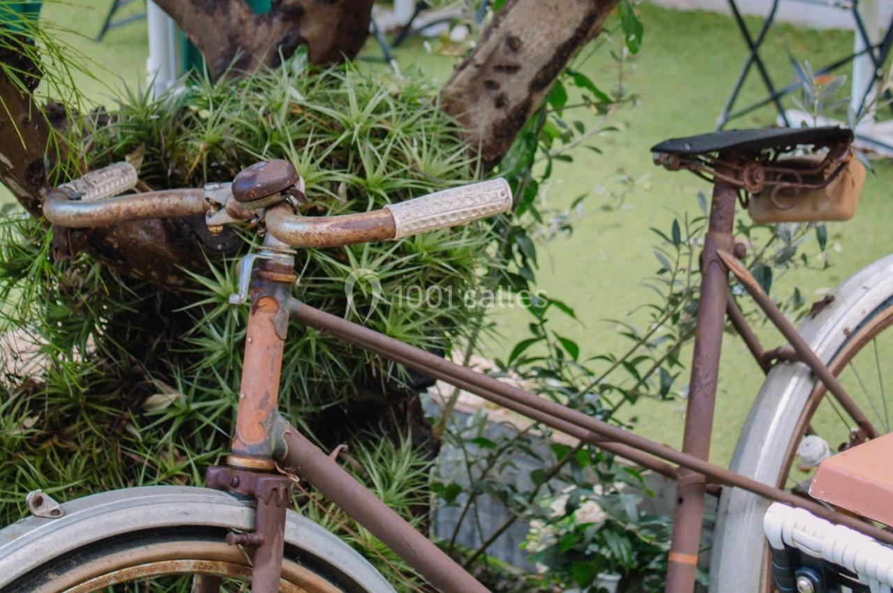 Vélo ancien rouillé appuyé contre un arbre, entouré de végétation dans un espace extérieur.