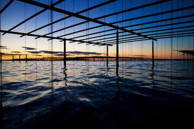 Location salle Marseillan (Hérault) - Le Mange Debout de la Ferme Marine #7