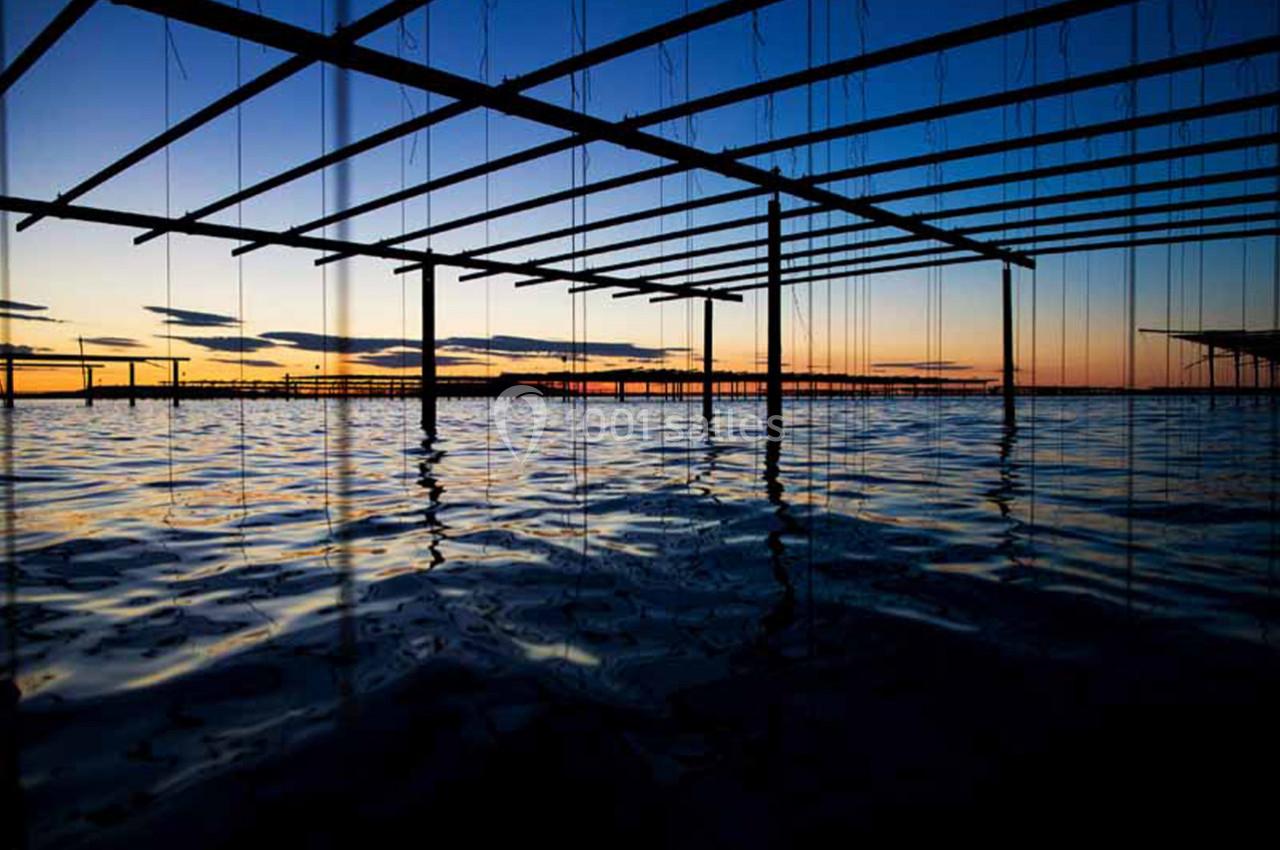 Location salle Marseillan (Hérault) - Le Mange Debout de la Ferme Marine #4