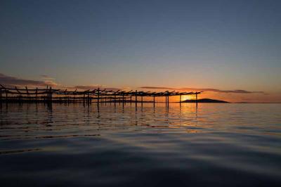 Location salle Marseillan (Hérault) - Le Mange Debout de la Ferme Marine #7