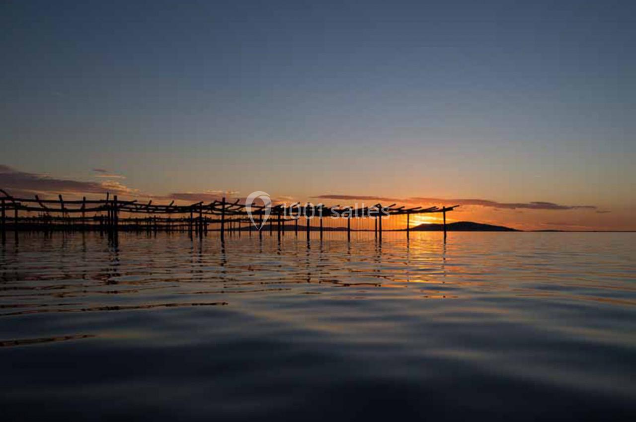 Location salle Marseillan (Hérault) - Le Mange Debout de la Ferme Marine #5