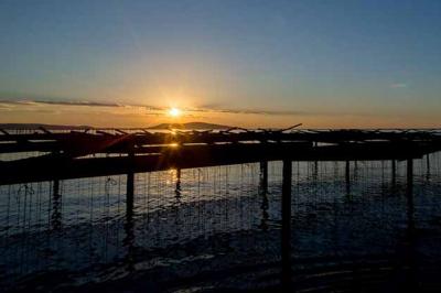 Location salle Marseillan (Hérault) - Le Mange Debout de la Ferme Marine #7