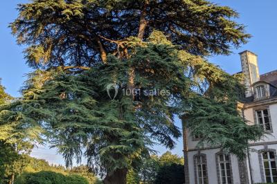 Location salle Loyat (Morbihan) - Château de Loyat #29