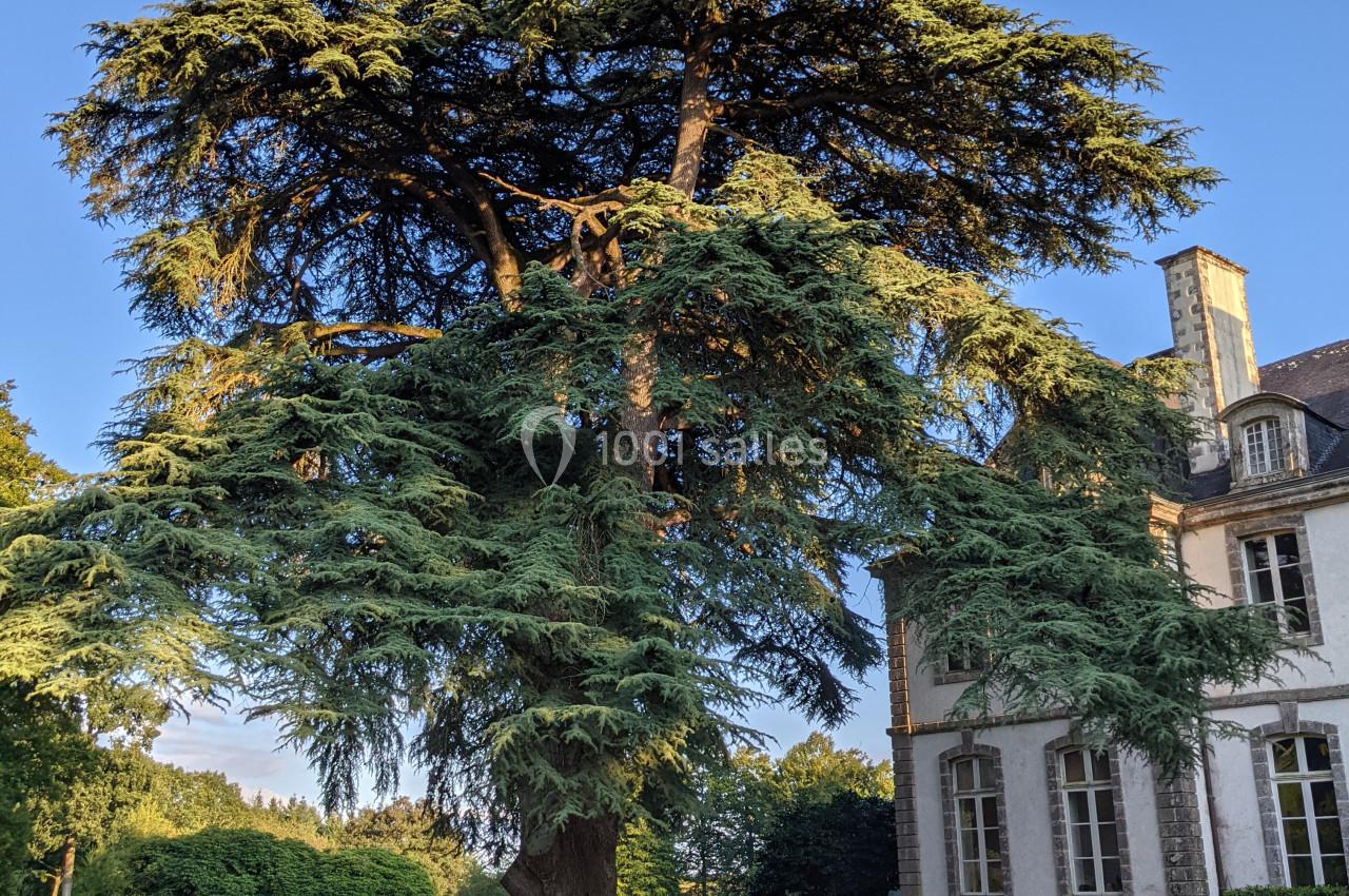 Location salle Loyat (Morbihan) - Château de Loyat #7