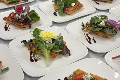Assiettes garnies de tartes salées aux légumes, fromage et salade, alignées sur une table pour un service collectif.