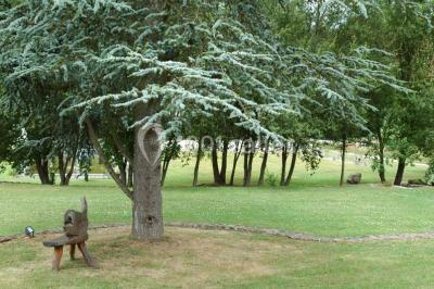 Salle décorée pour un événement avec tables dressées, chandeliers, nappes blanches et buffet garni en arrière-plan.