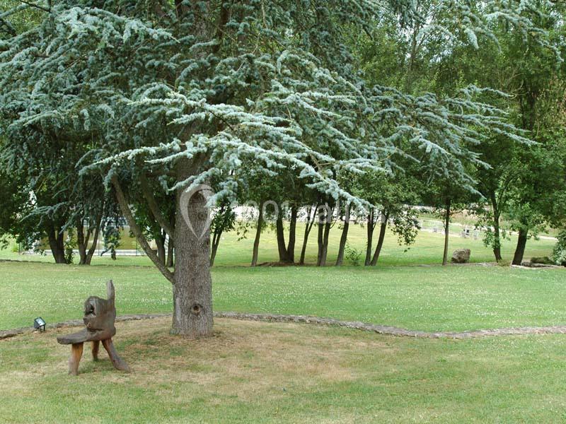 Un banc en bois sculpté est placé sous un grand arbre dans un parc verdoyant.