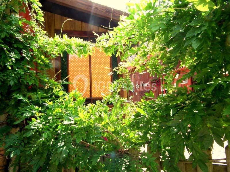 Façade en bois partiellement couverte de végétation, avec une fenêtre aux rideaux orange à motifs.