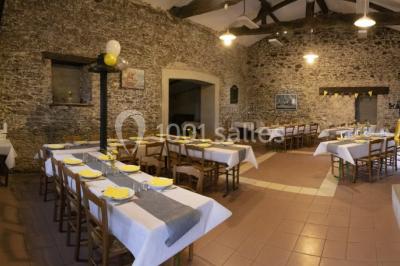 Vue panoramique d'un vignoble avec des rangées de vignes, un chemin gravillonné et quelques arbres sous un ciel dégagé.
