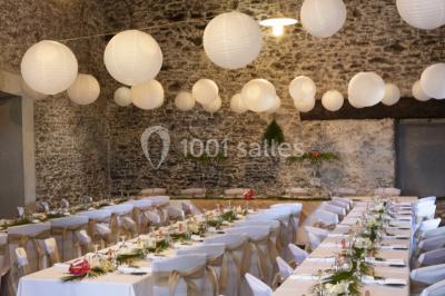 Vue panoramique d'un vignoble avec des rangées de vignes, un chemin gravillonné et quelques arbres sous un ciel dégagé.