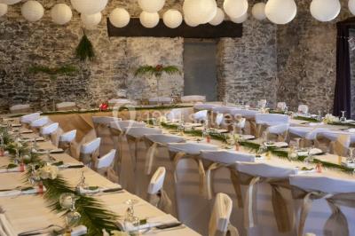 Vue panoramique d'un vignoble avec des rangées de vignes, un chemin gravillonné et quelques arbres sous un ciel dégagé.