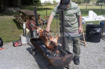 Vue panoramique d'un vignoble avec des rangées de vignes, un chemin gravillonné et quelques arbres sous un ciel dégagé.