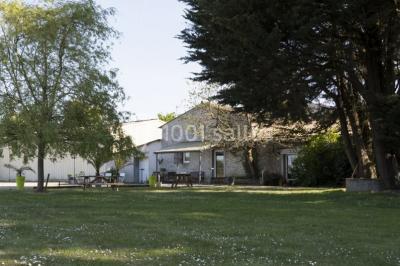 Vue panoramique d'un vignoble avec des rangées de vignes, un chemin gravillonné et quelques arbres sous un ciel dégagé.
