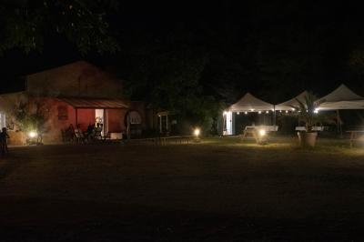 Vue panoramique d'un vignoble avec des rangées de vignes, un chemin gravillonné et quelques arbres sous un ciel dégagé.