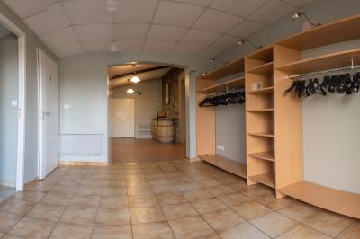 Vue panoramique d'un vignoble avec des rangées de vignes, un chemin gravillonné et quelques arbres sous un ciel dégagé.