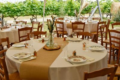 Vue panoramique d'un vignoble avec des rangées de vignes, un chemin gravillonné et quelques arbres sous un ciel dégagé.