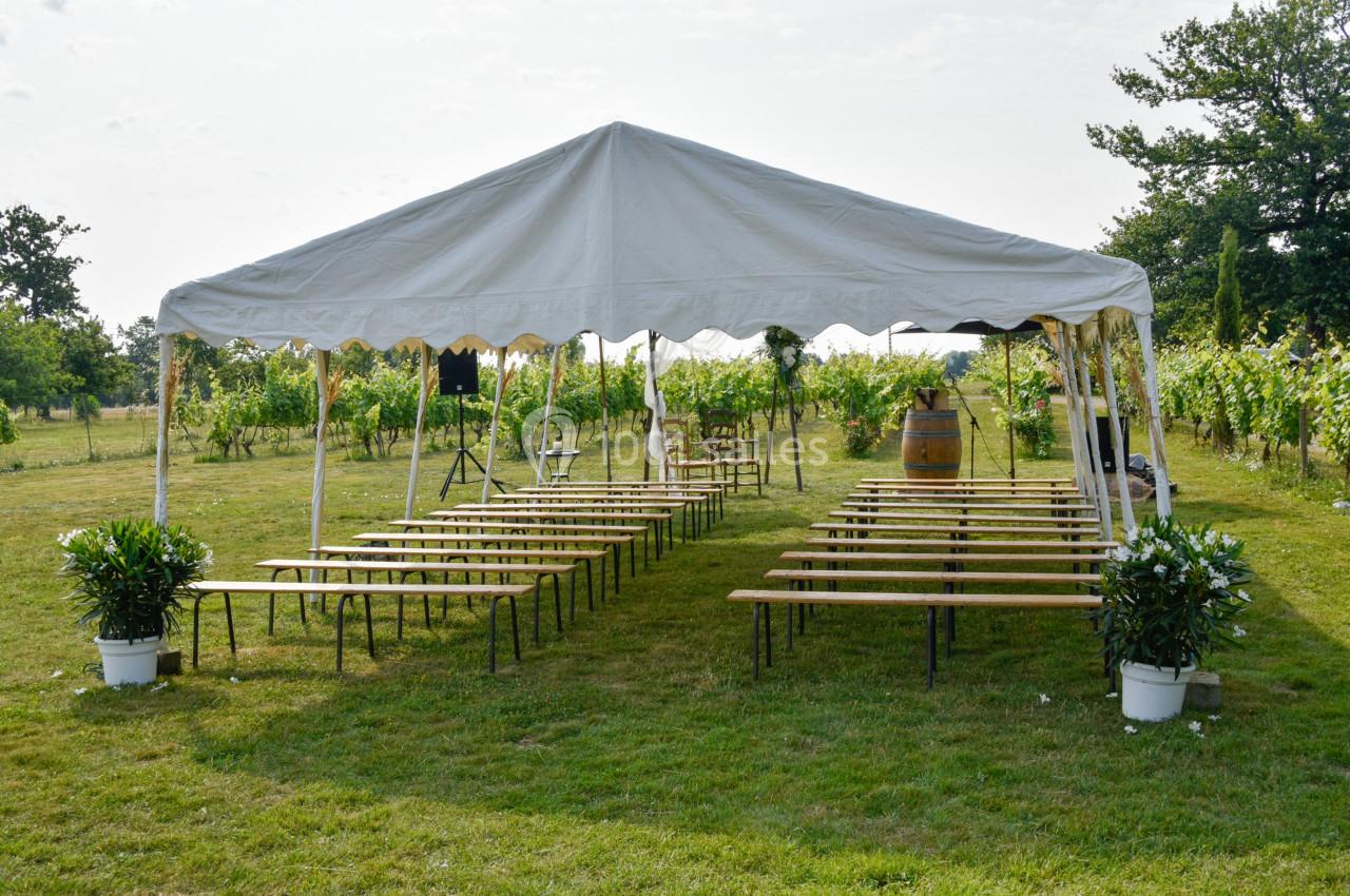 Tente blanche avec bancs en bois disposés en rangées sur une pelouse, entourée de vignes et d'arbres.