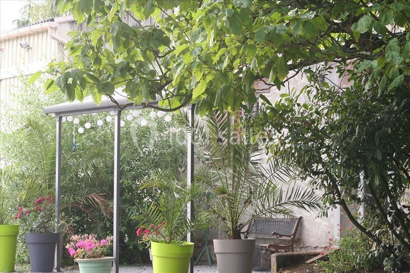 Un jardin avec des plantes en pots colorés, un banc en bois et une pergola sous un arbre feuillu.
