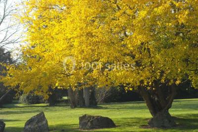 Location salle Sallertaine (Vendée) - Les Ormeaux #21